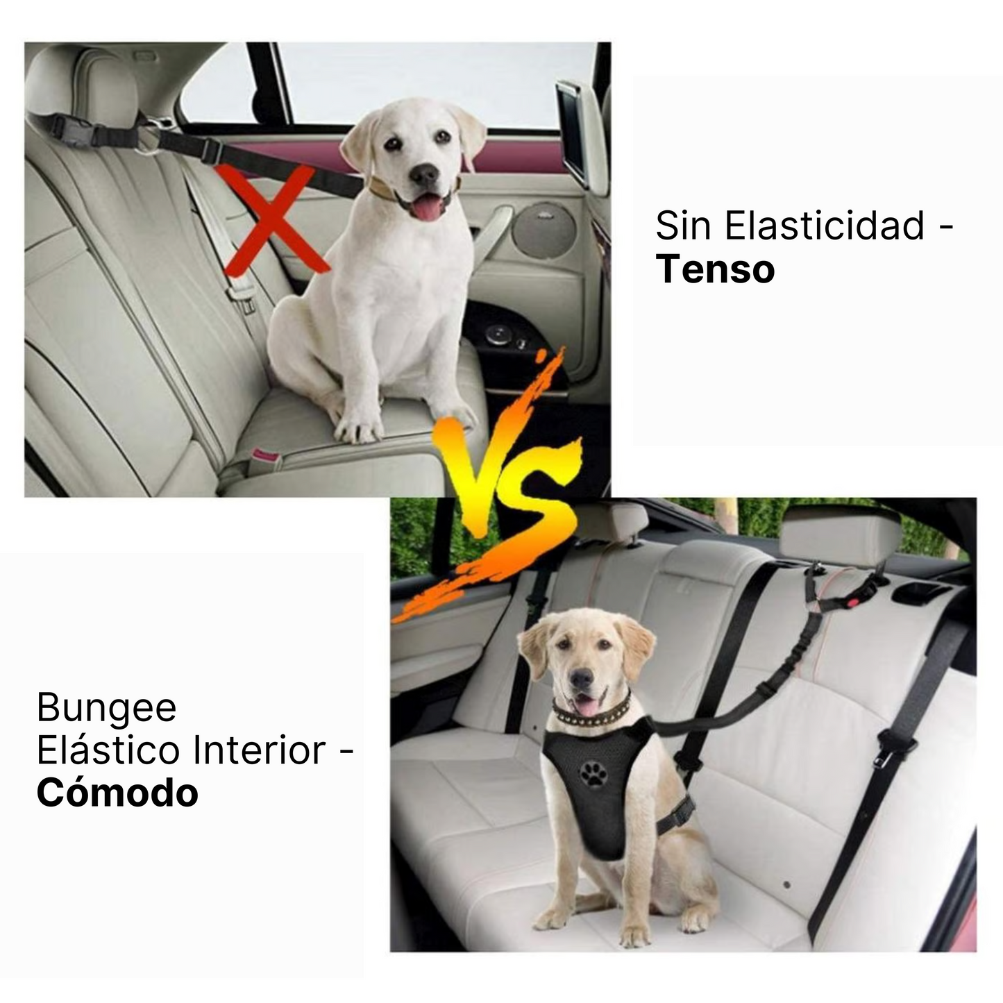Correa Leash Para Mascotas Pro Outdoor
