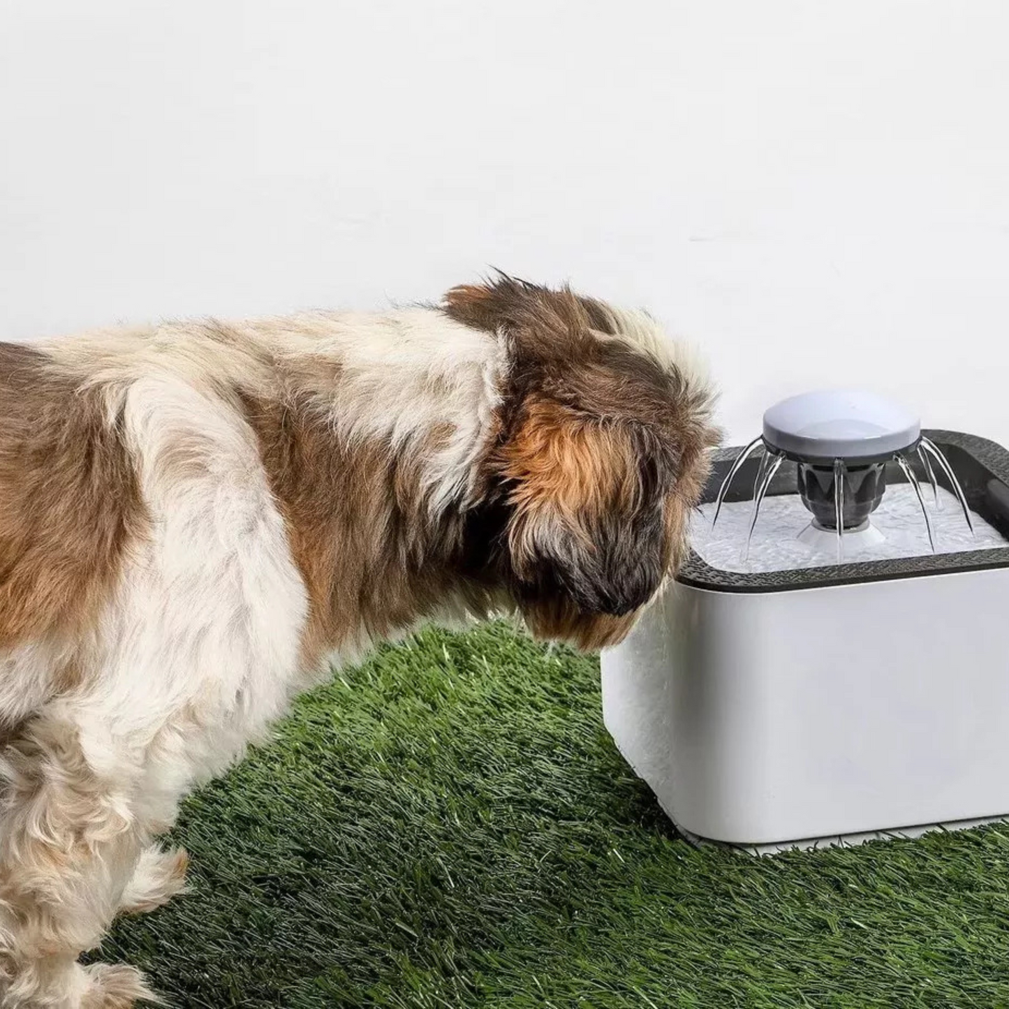 Bebedero Eléctrico de Agua con capacidad de 2.5lts para Perros y Gatos