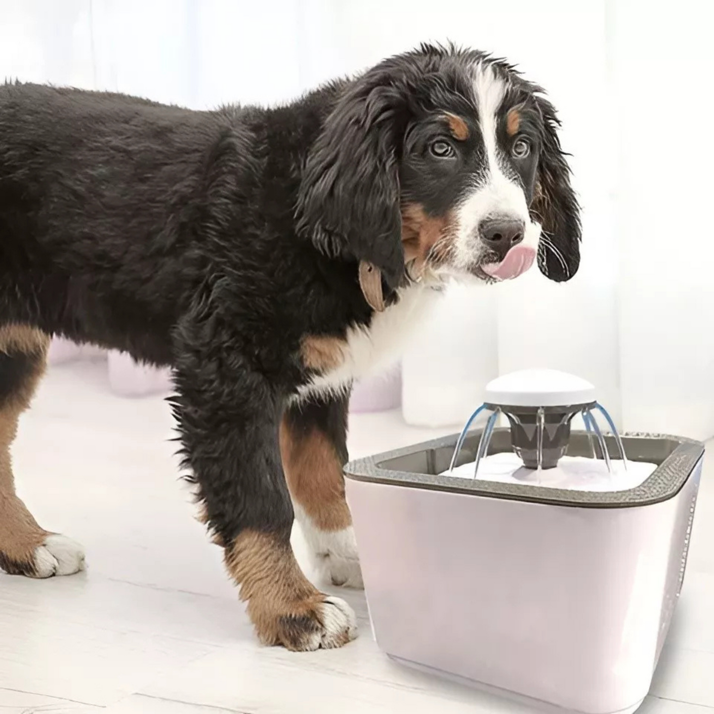 Bebedero Eléctrico de Agua con capacidad de 2.5lts para Perros y Gatos