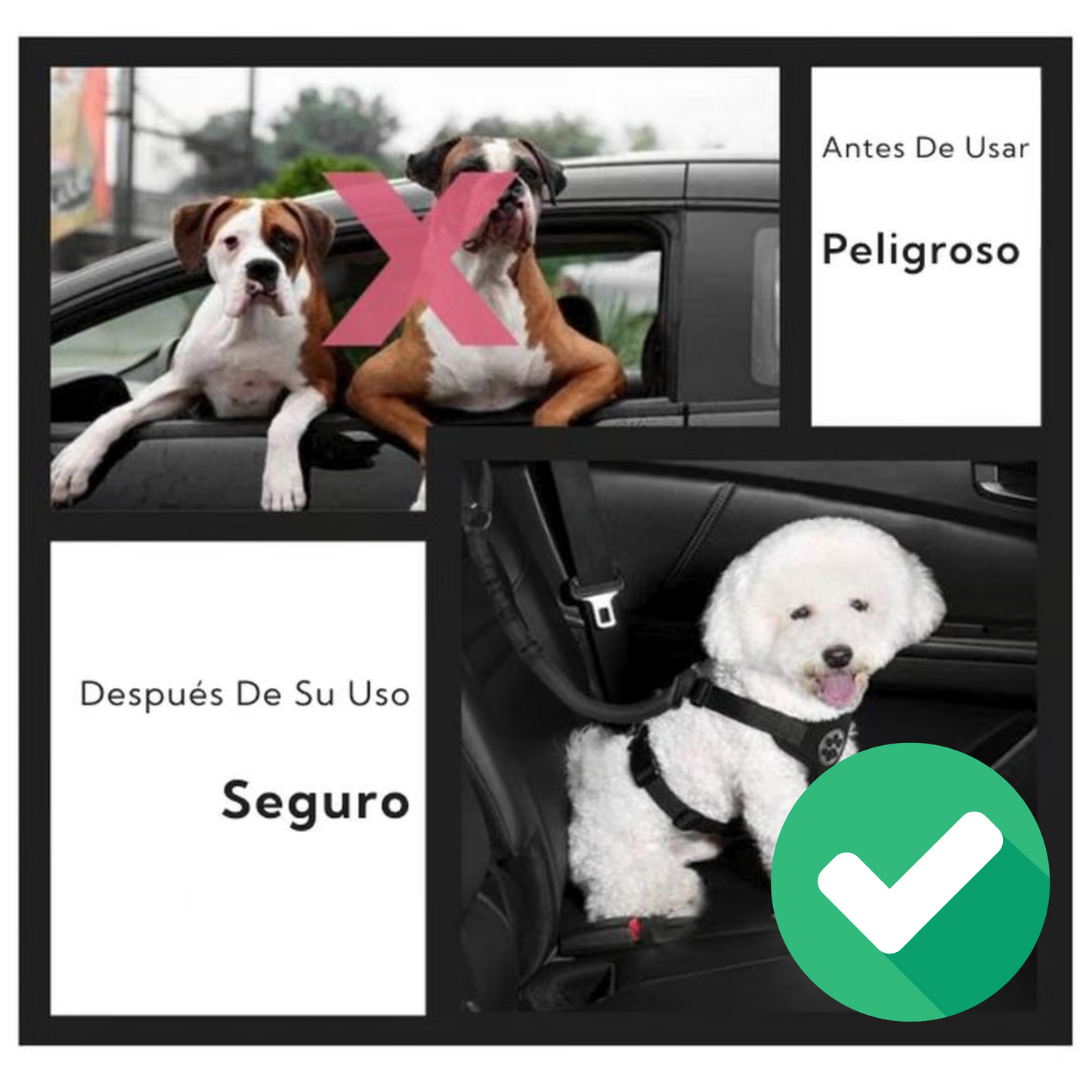 Correa Leash Para Mascotas Pro Outdoor