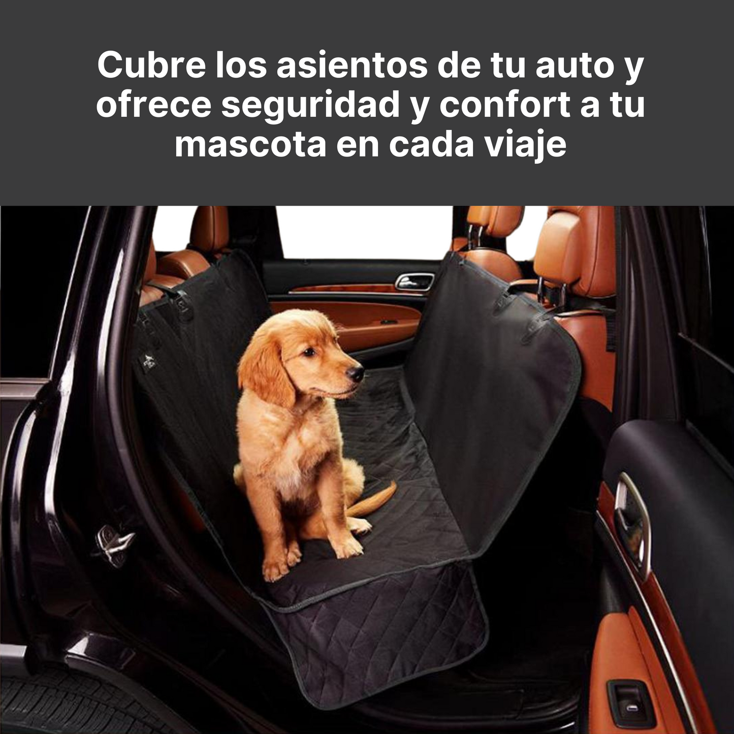 Cubre asiento para Automóvil